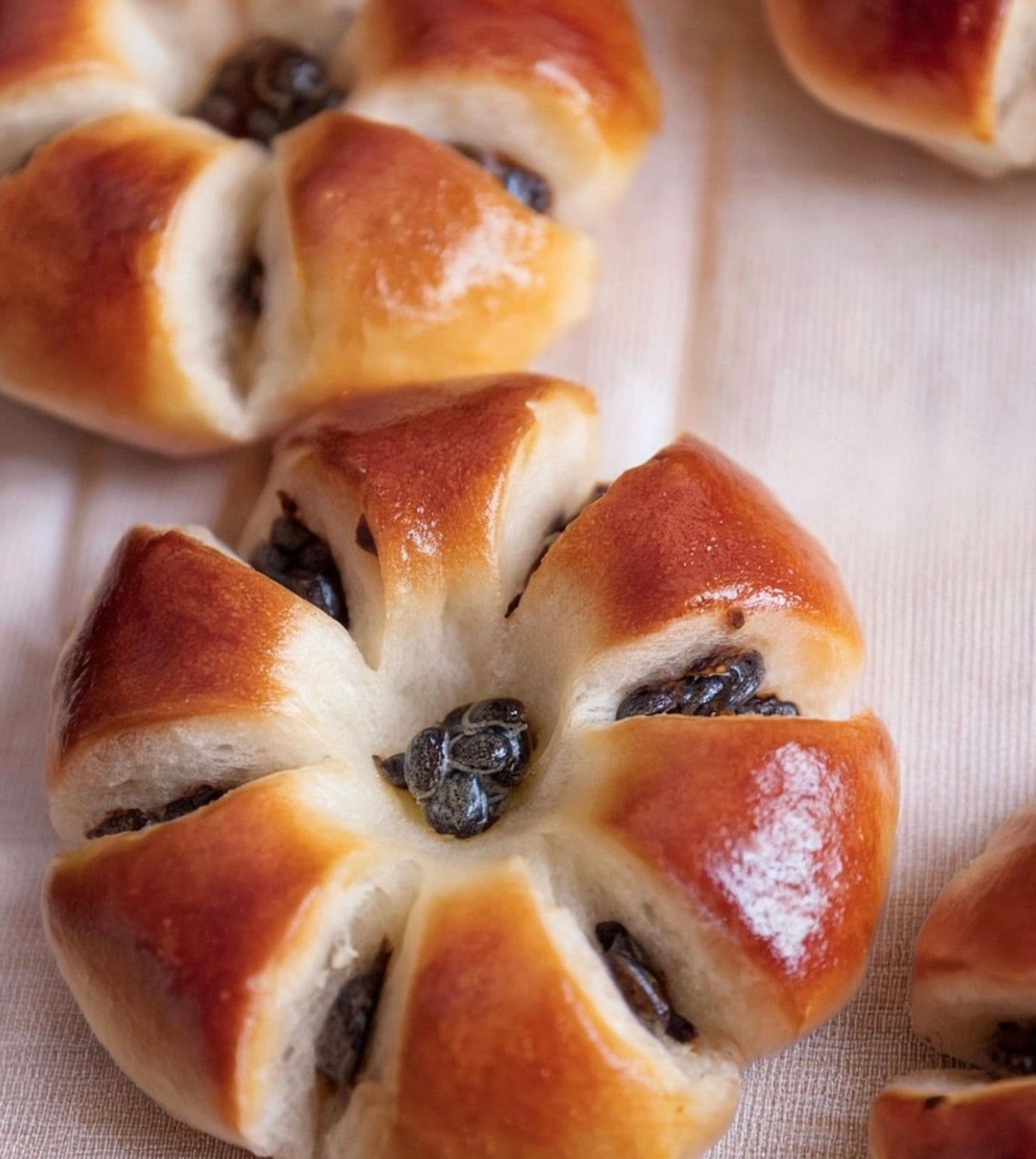 Danpatbbang (Koreanisches rotes Bohnenbrot, 단팥빵)
